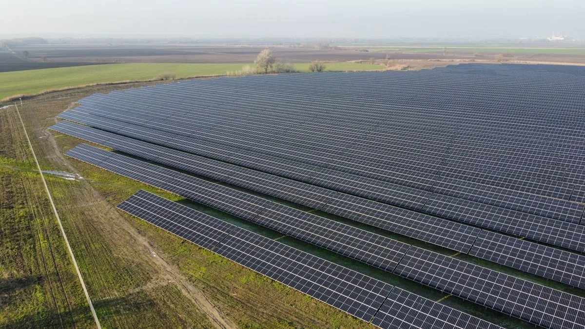 Vedere aeriană a unui parc fotovoltaic mare, cu rânduri lungi de panouri pe teren agricol